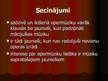 Referāts 'Operas aktualitāte mūsdienu jauniešu interesēs', 37.