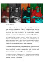 Referāts 'Rafaela Santī glezna "Pāvests Jūlijs II"', 7.