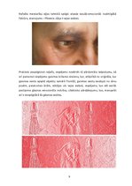 Referāts 'Rafaela Santī glezna "Pāvests Jūlijs II"', 10.