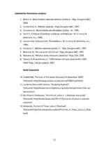 Referāts 'Rafaela Santī glezna "Pāvests Jūlijs II"', 12.