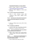 Referāts 'Viljama Šekspīra radošā dzīve kultūras kontekstā', 14.