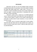 Konspekts 'Sašķidrinātas naftas gāzes pielietojums automašīnās', 7.