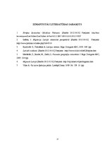 Referāts 'Iedzīvotāju migrācija Latvijā', 17.