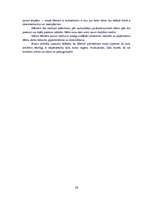 Referāts 'Bērnu runas attīstība ar rotaļu un spēļu palīdzību vidējā pirmsskolas vecumā', 26.