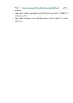 Referāts 'Saistību dzēšanas procedūras norise fiziskās personas maksātnespējas procesā', 17.