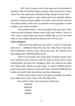 Referāts 'Forex - starptautiskais valūtu tirgus', 12.