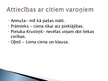 Prezentācija 'Lienas tēls brāļu Kaudzīšu romānā "Mērnieku laiki"', 8.