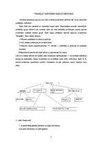 Referāts 'Mārketinga izpēte', 6.