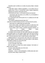 Referāts 'Mārketinga izpēte', 8.