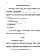 Prakses atskaite 'Uzņēmuma stratēģijas izstrāde VAS "Latvijas Pasts"', 4.