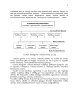 Referāts 'A/s "Valmieras stikla šķiedra" stratēģijas izvēle un realizēšana', 9.