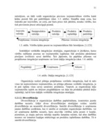 Referāts 'A/s "Valmieras stikla šķiedra" stratēģijas izvēle un realizēšana', 11.