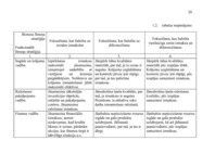 Referāts 'A/s "Valmieras stikla šķiedra" stratēģijas izvēle un realizēšana', 20.