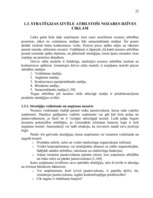 Referāts 'A/s "Valmieras stikla šķiedra" stratēģijas izvēle un realizēšana', 22.