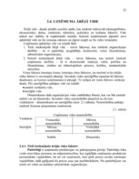 Referāts 'A/s "Valmieras stikla šķiedra" stratēģijas izvēle un realizēšana', 32.