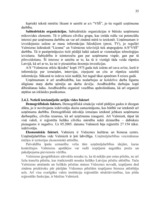 Referāts 'A/s "Valmieras stikla šķiedra" stratēģijas izvēle un realizēšana', 35.