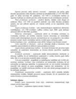 Referāts 'A/s "Valmieras stikla šķiedra" stratēģijas izvēle un realizēšana', 41.