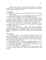 Referāts 'A/s "Valmieras stikla šķiedra" stratēģijas izvēle un realizēšana', 42.
