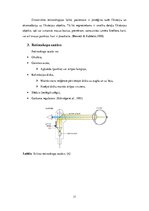 Referāts 'Retinoskopija', 11.