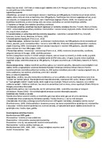 Konspekts 'Attīstības psiholoģija', 3.