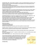 Konspekts 'Attīstības psiholoģija', 17.