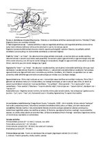 Konspekts 'Attīstības psiholoģija', 23.