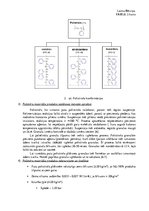 Konspekts 'Putu polistirols', 2.