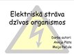 Prezentācija 'Elektriskā strāva dzīvos organismos', 1.