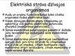 Prezentācija 'Elektriskā strāva dzīvos organismos', 4.