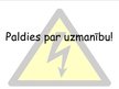 Prezentācija 'Elektriskā strāva dzīvos organismos', 12.