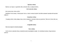 Paraugs 'Aprūpes plāns', 7.