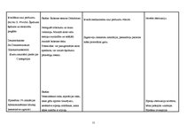 Paraugs 'Aprūpes plāns', 15.