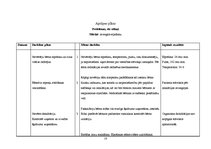 Paraugs 'Aprūpes plāns', 18.