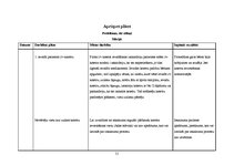 Paraugs 'Aprūpes plāns', 21.