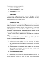 Konspekts 'Pasaules ekonomikas attīstība viduslaikos', 2.