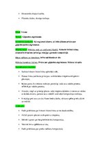 Konspekts 'Stundas konspekti vizuālajā mākslā 2. un 3.klasei', 2.