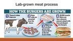 Prezentācija 'Meat Grown in Laboratory', 3.