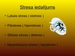 Prezentācija 'Stress', 6.
