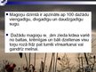 Prezentācija 'Magone', 7.