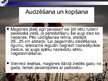 Prezentācija 'Magone', 13.