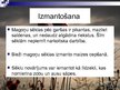 Prezentācija 'Magone', 14.