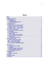 Referāts 'Nedrošais internets', 2.