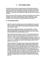 Referāts 'Nedrošais internets', 5.