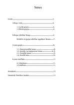 Konspekts 'Loma un statuss grupā', 2.