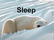 Prezentācija 'Sleep', 1.