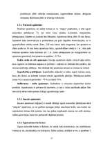 Referāts 'Ar antipirēniem apstrādātu koksnes paraugu degamības noteikšana', 17.