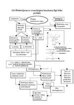 Referāts 'Pilnīga konkurence', 11.