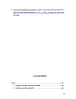 Referāts 'Parlamentārā imunitāte', 20.