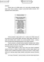 Referāts 'Ministru kabinets', 5.