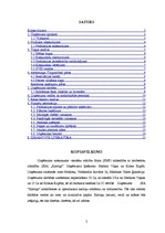 Biznesa plāns 'SIA "Kartiņa"', 2.